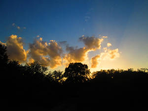 夕陽與金色雲層和樹木剪影，背景為藍天