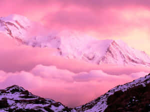 粉紅色的山脈在日出時聳立於雲層之上，山頂覆蓋著白雪。