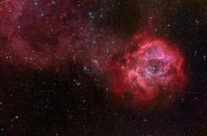 在深空中，無數恆星之間閃耀的充滿活力的紅色星雲。 — 太空美學 GIF 壁紙