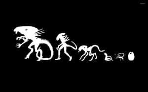 外星生命週期從蛋到成年的白色剪影，黑色背景。 — 異鄉人 GIF 壁紙