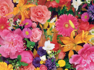 一束色彩繽紛、密集的花束，包含玫瑰、百合和雛菊等多種花卉。 — 藝術 壁紙