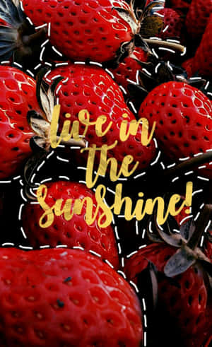 成熟草莓的特寫，金色文字寫著 live in the sunshine。 — 士多啤梨 壁紙