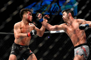 兩名男性拳手在綜合格鬥籠鬥中互相出拳。 — 拳擊 壁紙