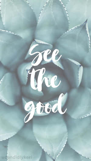 多肉植物配上白色草書嘅勵志文字「See the good」。 — 植物 壁紙