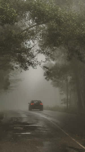 一輛汽車在潮濕的道路上行駛，穿過霧氣瀰漫的森林。