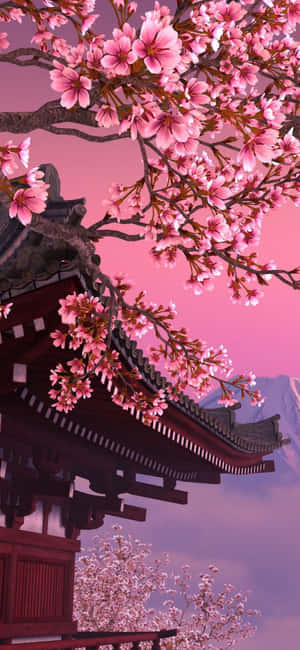 黃昏時分，粉紅色的櫻花在傳統日本寺廟屋頂上盛開。