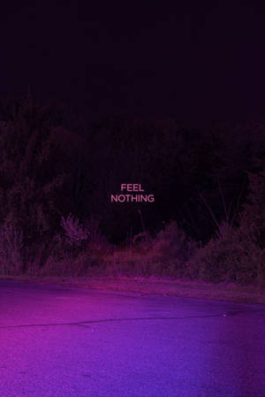 夜晚，在深紫色道路上發光的霓虹燈牌，上面寫著「feel nothing」。 — 黑紫 壁紙