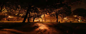 夜晚公園場景，有樹木和小徑，被路燈照亮 — 超寬螢幕 壁紙
