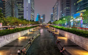 人們在夜晚燈火通明的城市運河旁放鬆，周圍是高樓大廈和綠植。 — 韓國 壁紙