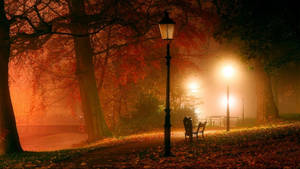 夜晚薄霧籠罩的秋日公園，有發光的路燈和落葉。 — 夜晚 GIF 壁紙