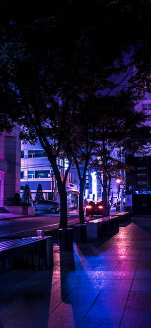 夜晚霓虹燈照亮城市街道，樹木和潮濕路面反射出五彩燈光。 — 淺紫色動態圖片 壁紙