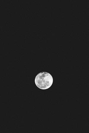 滿月在黑暗的夜空中發光，表面細節清晰可見。