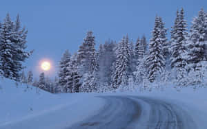 積雪道路蜿蜒穿過松林，滿月下 — 月色夜空 壁紙