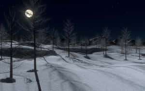 滿月下的雪地冬季景觀，光禿的樹木和星空。 — 夜晚 GIF 壁紙
