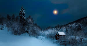 月光下冬日森林中的雪中小屋 — 月色夜空 壁紙