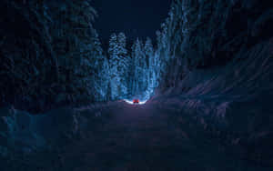 星空下雪林路上的紅色汽車