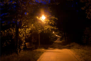 夜晚公園小徑被路燈照亮，有樹木和長椅 — 夜晚 GIF 壁紙