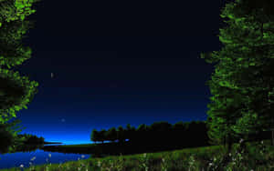 夜空中的星星和新月，下方是被發光綠樹環繞的湖泊。