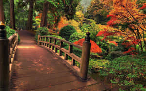 色彩繽紛的秋日森林中的彎曲木橋，有紅色、橙色和綠色的樹木。