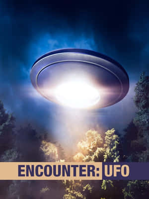 一個UFO在夜間懸浮在森林上空，將明亮的光線投射到樹木上。