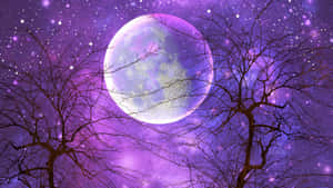光禿禿的樹木剪影，背景是紫色星空和一輪發光的滿月。 — 月色夜空 壁紙