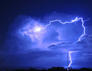 強烈的閃電照亮了黑暗樹木上方暴風雨的夜空。