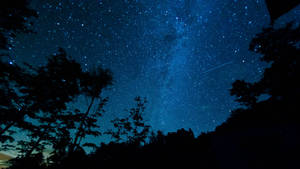 繁星點點的夜空，流星劃過樹木剪影
