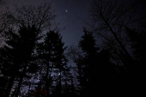 黑暗森林樹木剪影襯托住一個有可見星星同微弱月亮嘅星空夜晚。 — 夜晚 GIF 壁紙