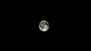 滿月位於黑暗夜空中央