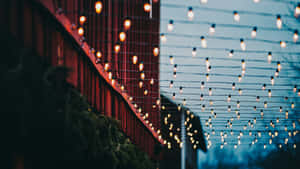 串燈在黃昏時溫暖地照亮紅色穀倉。 — 夜空 壁紙