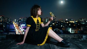 女子在屋頂上捧著鳥，以城市燈光為背景，滿月高懸