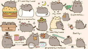 Pusheen 貓在有趣的情況中，例如睡在棉花糖上或被牙刷梳理毛髮。