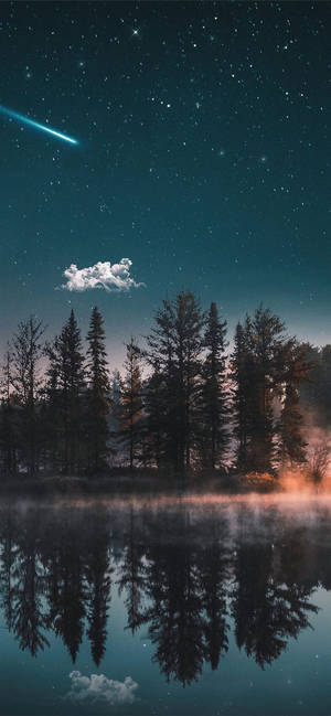 夜晚的森林，星星和彗星倒映在平靜的水面上。