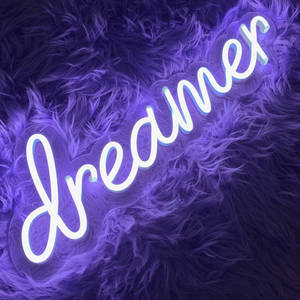 發光霓虹燈牌，上面寫著 dreamer，背景為紫色毛絨