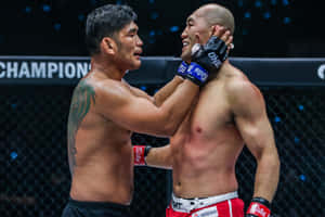 兩名MMA拳手在八角籠內進行比賽時陷入纏鬥。 — 動漫打鬥 壁紙