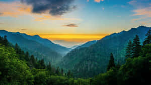 夕陽映照著森林覆蓋的山脈，霧氣彌漫的山谷和鮮豔的天空色彩。
