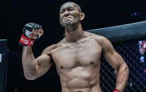 一位勝利的MMA拳手在八角籠內高舉拳頭。 — 幽遊白書 GIF 壁紙