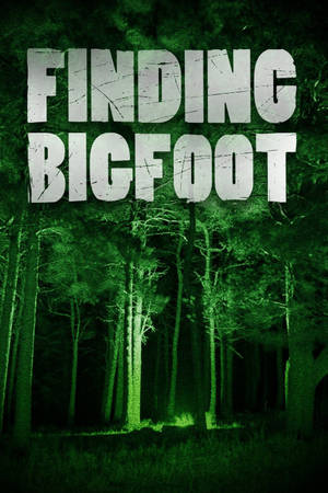 夜視視角下的茂密森林，文字為Finding Bigfoot。 — 恐怖 GIF 壁紙