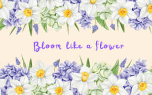 水彩花卉邊框，有水仙花、風信子和文字「bloom like a flower」。