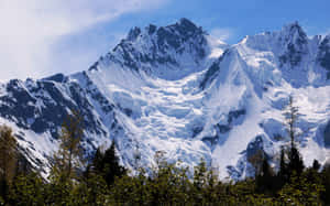 白雪覆蓋的山脈，前景有冰川和常綠樹