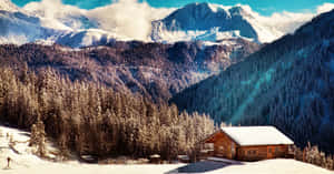 晴朗藍天下，被常綠樹環繞的雪地山間小屋