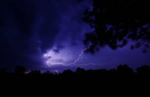 閃電劃過深紫色暴風雨天空，映襯出樹木的剪影。