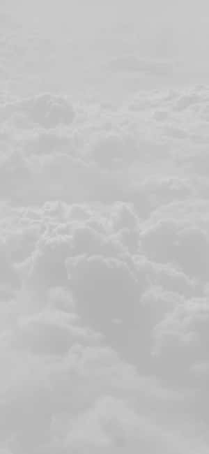 在極簡單色場景中，柔和灰色雲朵充滿天空。