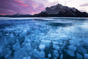 大自然美景圖片 — 美麗 壁紙