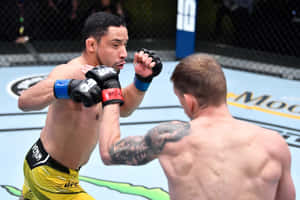 兩名男性MMA拳手在八角籠中，一人出拳，另一人阻擋。