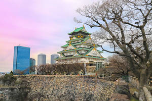 傳統日本城堡，背景為日落時分的現代建築。 — 城堡 壁紙