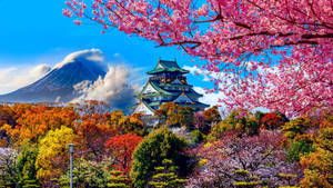 日本城堡被櫻花和秋樹環繞，背景為富士山。 — 東京卍復仇者 壁紙