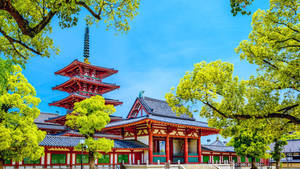 陽光明媚的日子裡，紅色的寶塔和寺廟被綠樹環繞。 — 日本武士 壁紙