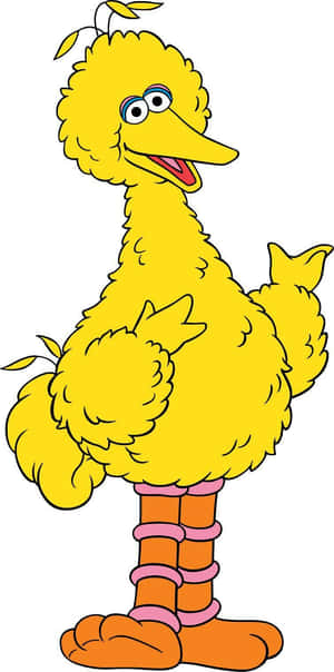 芝麻街的 Big Bird 站著，表情快樂。