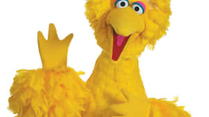 Big Bird 在白色背景前以愉快表情揮手。